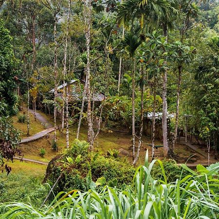 Rain Forest Inn Ringlet Exterior foto