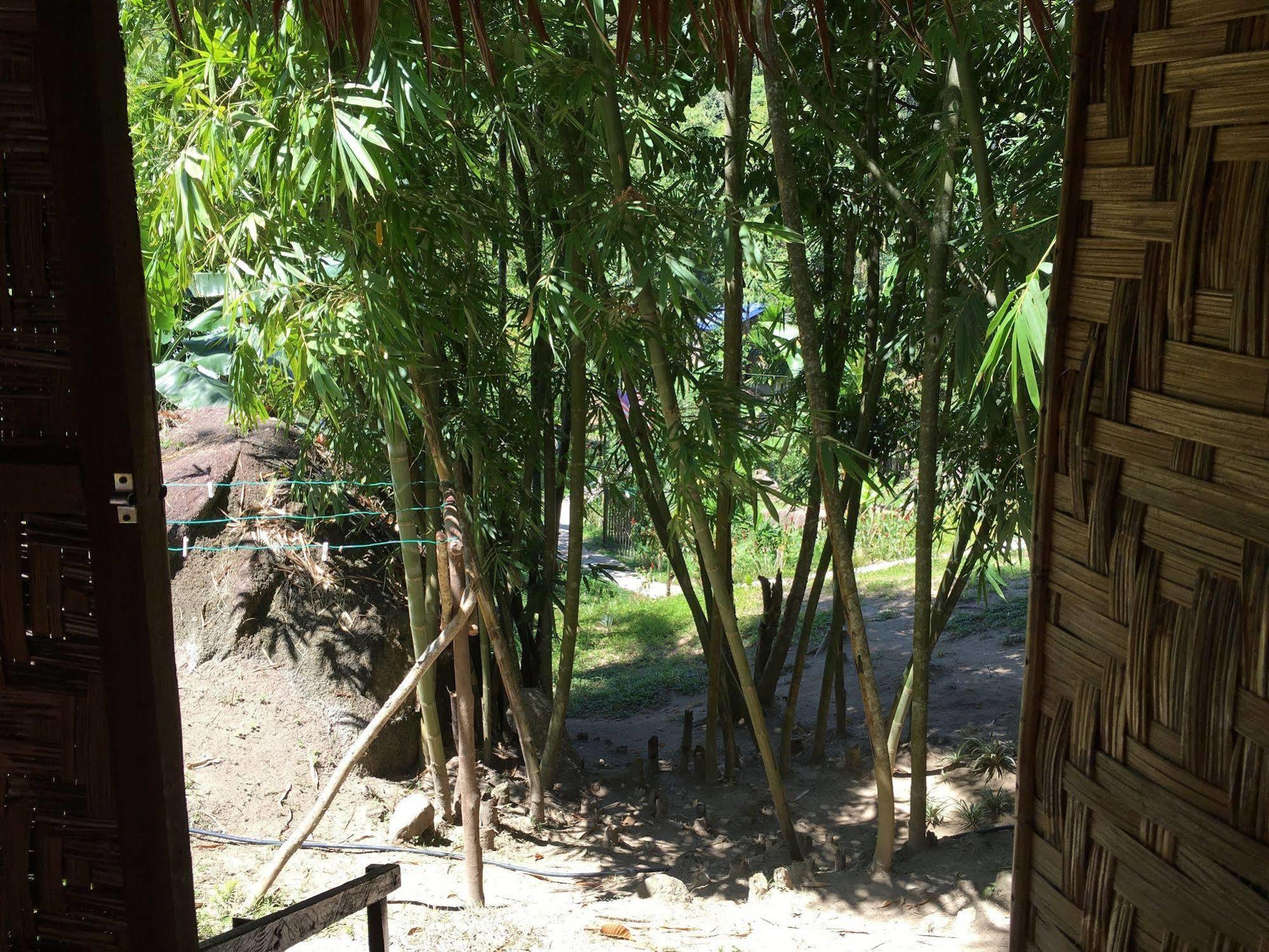 Rain Forest Inn Ringlet Exterior foto